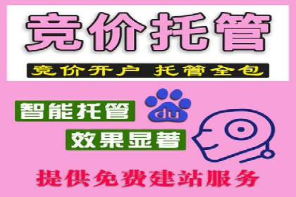 SEM代运营服务公司案例：提升搜索引擎排名